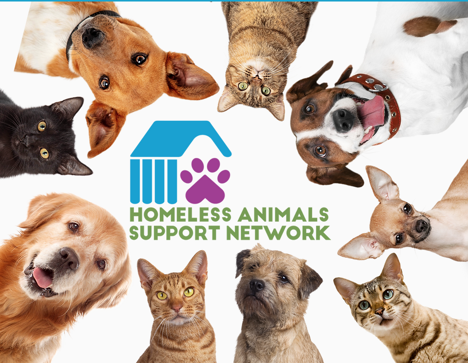 Homeless Animal Support Network Fund - The Community Foundation
