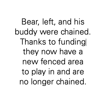 Screenshot 2023-11-22 at 3.11.35 PM